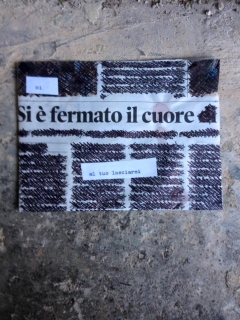 "10x15" / #061 - #090