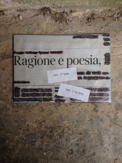 "10x15" / #181 - #210
