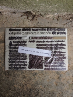 "10x15" / #181 - #210
