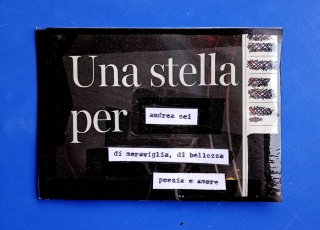 "10x15" / #4021 - #4050